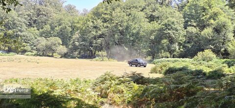 جلوه های گلستان