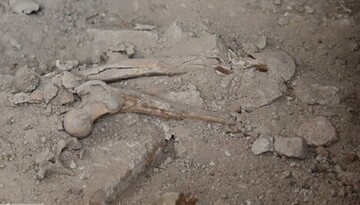 کشف آرامگاه اولجایتو در کاوش‌های اخیر گنبد سلطانیه صحت ندارد