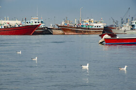 کلید اتصال ایران به آسیای مرکزی و اقیانوس هند/ چابهار موتور محرک توسعه پایدار شرق کشور است