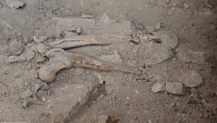 کشف آرامگاه اولجایتو در کاوش‌های اخیر گنبد سلطانیه صحت ندارد