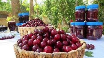 شهر زنگنه؛ میزبان ششمین جشنواره آلبالو