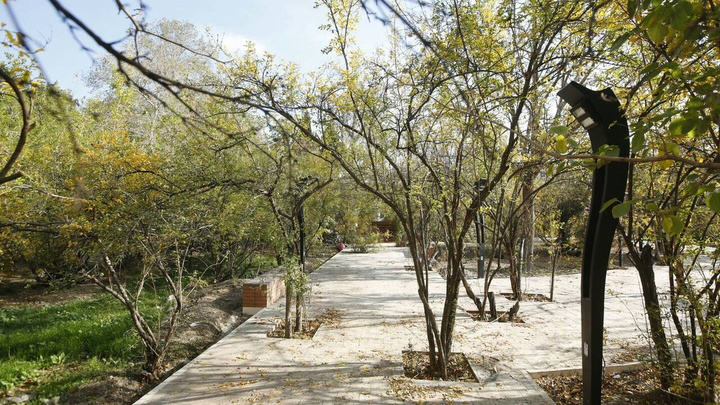 احداث پارک شفابخش با محوریت گیاهان دارویی و درختان مثمر در زنجان