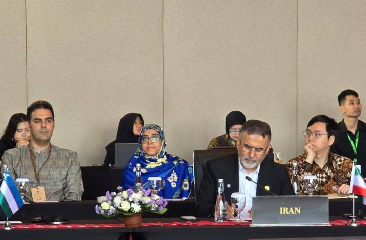 فرهنگ و هنر، سرمایه راهبردی صلح جهانی است