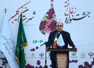 لزوم توسعه باغات زغال‌اخته در کلیبر/ ایجاد صنایع تبدیلی راهی برای سودآوری‌ست/ هم‌افزایی شهرستان‌ها مسیر رونق تولید