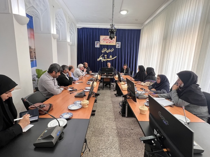 بزرگ‌ترین فرش تصویری تاریخی ایران در بیرجند رونمایی می‌شود