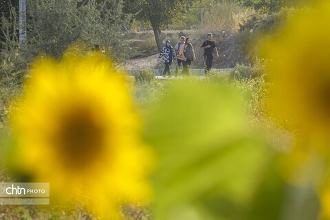 همایش پیاده‌روی خانوادگی به مناسبت سالروز استان شدن خراسان شمالی