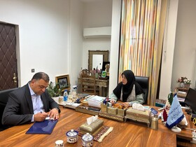 کرمان با ظرفیت‌های منحصربه‌فرد، آماده گسترش همکاری‌های ملی در حوزه صنایع‌دستی است