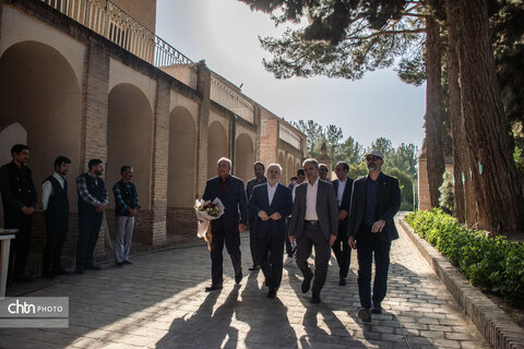 دارابی-بافت