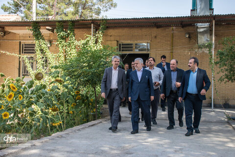 دارابی-بافت