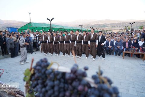 چهارمین جشنواره انگور سیاه سردشت
