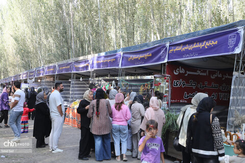 آغاز هجدهمین جشنواره ملی آش و غذاهای سنتی نیر