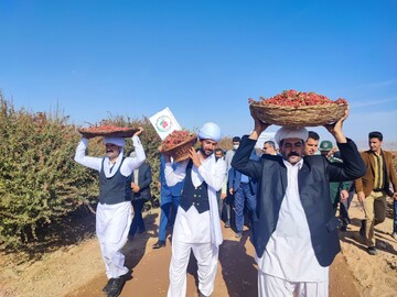 تقویم رویدادهای گردشگری خراسان جنوبی منتشر شد/ از خرما تا زرشک، از لوت تا عروسی چنشت