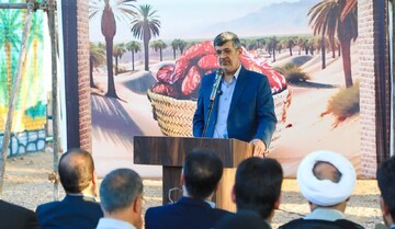 بافق، قطب ملی خرما و هویت گردشگری کویر مرکزی ایران خواهد شد/ فرهیختگان، می‌توانند مسیر توسعه اقتصادی و فرهنگی را هدایت کنند