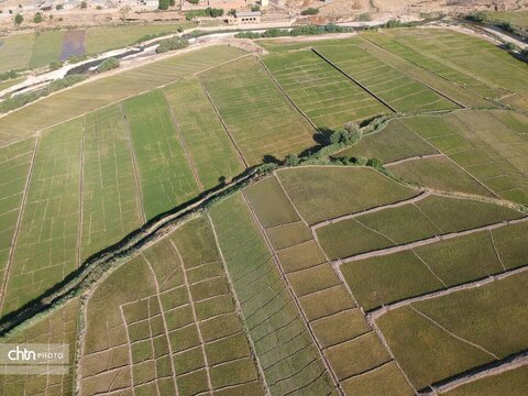 روستای سنگ سفید