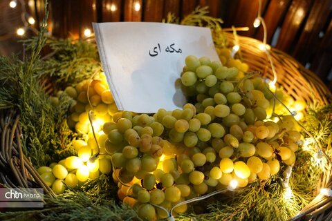 شروع به کار هشتمین جشنواره انگور ارومیه