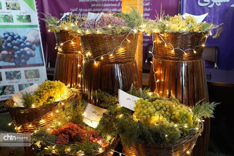 شروع به کار هشتمین جشنواره انگور ارومیه