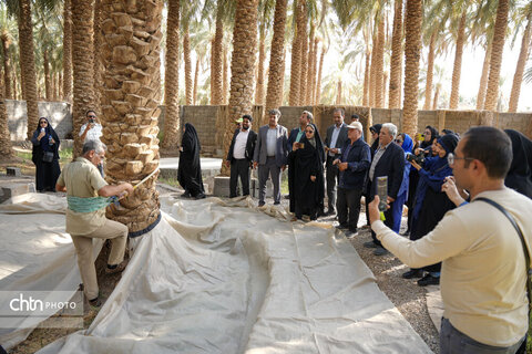 تور رسانه ای