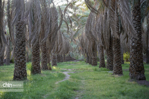 تور رسانه ای