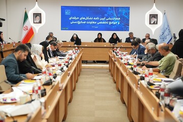 برگزاری نشست هم‌اندیشی آیین‌نامه تشکل‌های حرفه‌ای معاونت صنایع‌دستی در وزارت میراث فرهنگی