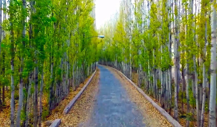 چله‌گاه سپیدان؛ نگین سبز طبیعت فارس