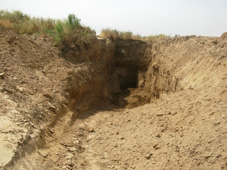 شناسایی و دستگیری حفاران غیرمجاز در دیواندره