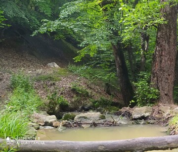 ثبت ۳ اثر طبیعی جدید استان گلستان در فهرست آثار ملی/ مرتفع‌ترین نقطه گلستان ثبت ملی شد
