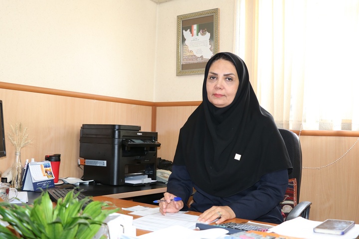 صدور ۱۱ مجوز فروشگاه صنایع‌دستی در خراسان شمالی