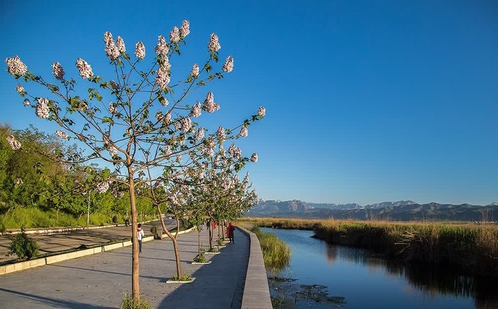 توسعه زیرساخت‌ها در دریاچه زریبار مریوان رفاه گردشگران را ارتقا می‌دهد