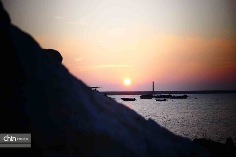 ساحل همیشه زیبای خلیج فارس