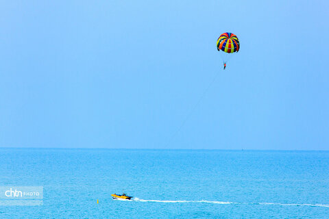 ساحل همیشه زیبای خلیج فارس