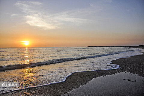 ساحل همیشه زیبای خلیج فارس