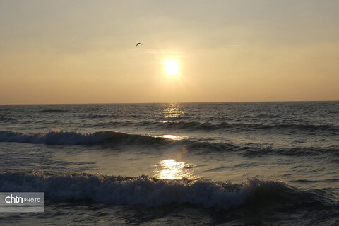 ساحل همیشه زیبای خلیج فارس