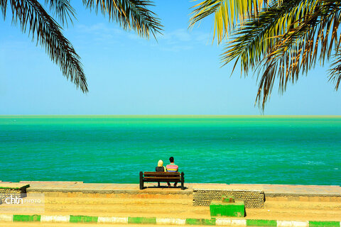 ساحل همیشه زیبای خلیج فارس