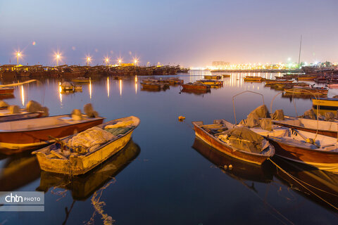 ساحل همیشه زیبای خلیج فارس