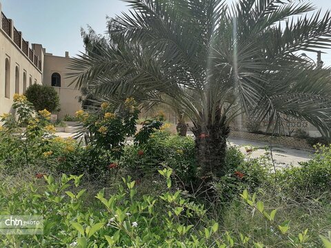 عمارت تاریخی کازرونی در بوشهر