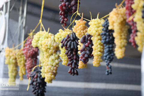 سومین جشنواره ملی انگور مشگین‌شهر