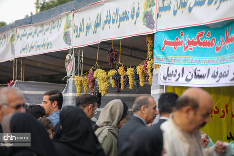 سومین جشنواره ملی انگور مشگین‌شهر