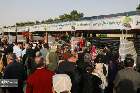 سومین جشنواره ملی انگور مشگین‌شهر