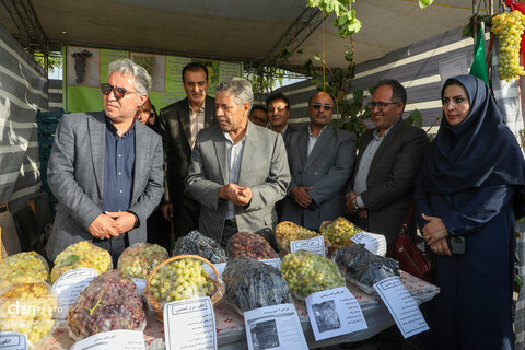 سومین جشنواره ملی انگور مشگین‌شهر