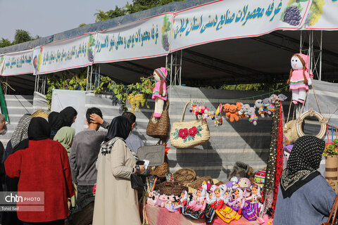 سومین جشنواره ملی انگور در مشگین‌شهر برگزار شد
