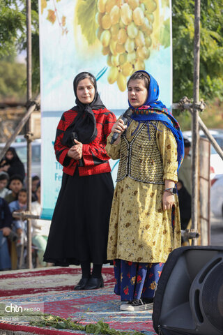 سومین جشنواره ملی انگور در مشگین‌شهر برگزار شد