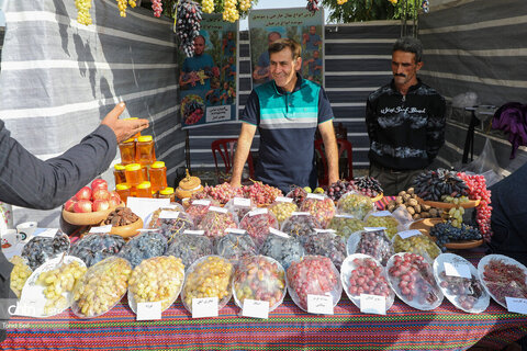 سومین جشنواره ملی انگور در مشگین‌شهر برگزار شد