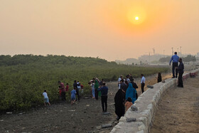 رویداد «شوز بندر» و آموزش غیرمستقیم حفاظت از جنگل‌های حرا در بندرعباس