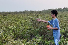 «شوز بندر»؛ پیوند فرهنگ، طبیعت و گردشگری پایدار در قلب خلیج فارس/ تجربه موفق «سرزورزوما» در قالب «شوز بندر» تکرار شد