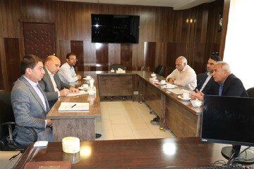 جلسه کمیته راهبردی ساماندهی تپه ارگ نادری شیروان برگزار شد