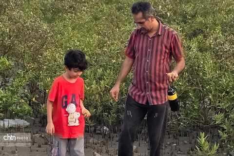 رویداد «شوز بندر» و آموزش غیرمستقیم حفاظت از جنگل‌های حرا در بندرعباس