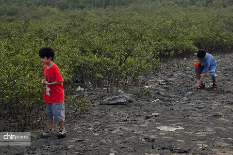 رویداد «شوز بندر» و آموزش غیرمستقیم حفاظت از جنگل‌های حرا در بندرعباس