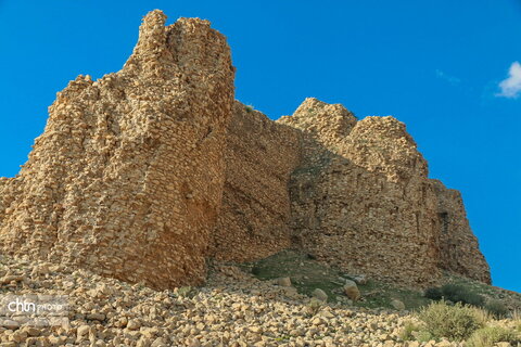 محافظ شهر