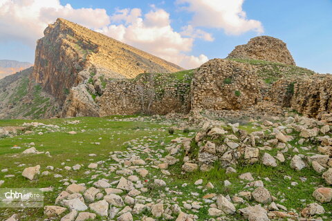 محافظ شهر
