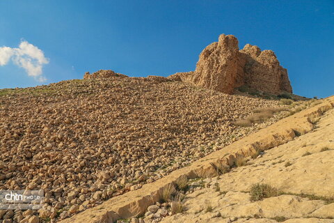 محافظ شهر